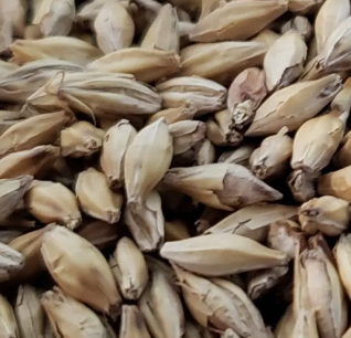 Rustic Brew Farm Pale Malt (Ohio), 1 oz.