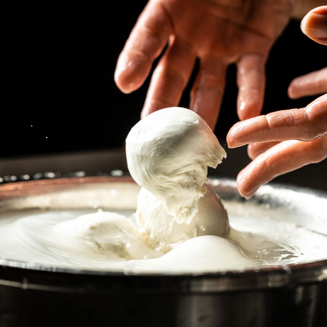 Cheesemaking – The Cleveland Brew Shop