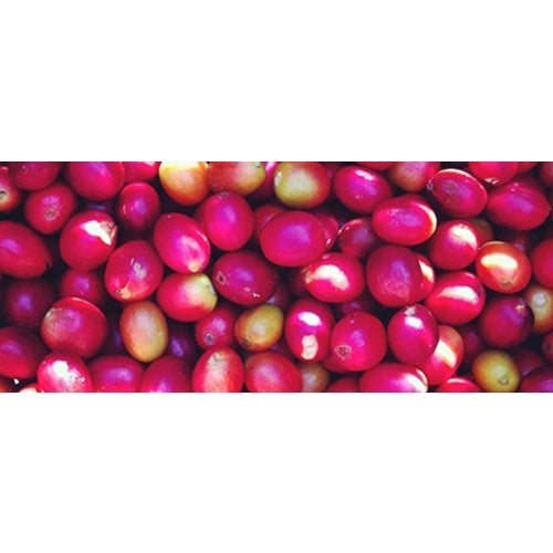 Colombia Huila Region - Green Coffee Beans (1 lb.)