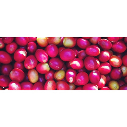 Colombia Huila Region - Green Coffee Beans (1 lb.)