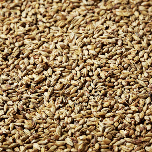 Swaen© Pilsner Malt (NL) - 1 oz.