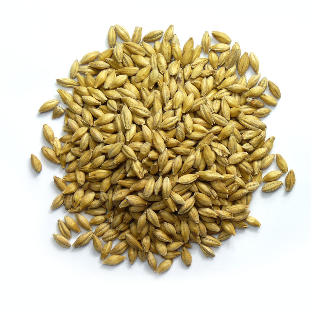 Warminster Floor Malted Maris Otter Pale Malt (GB) 1 oz.